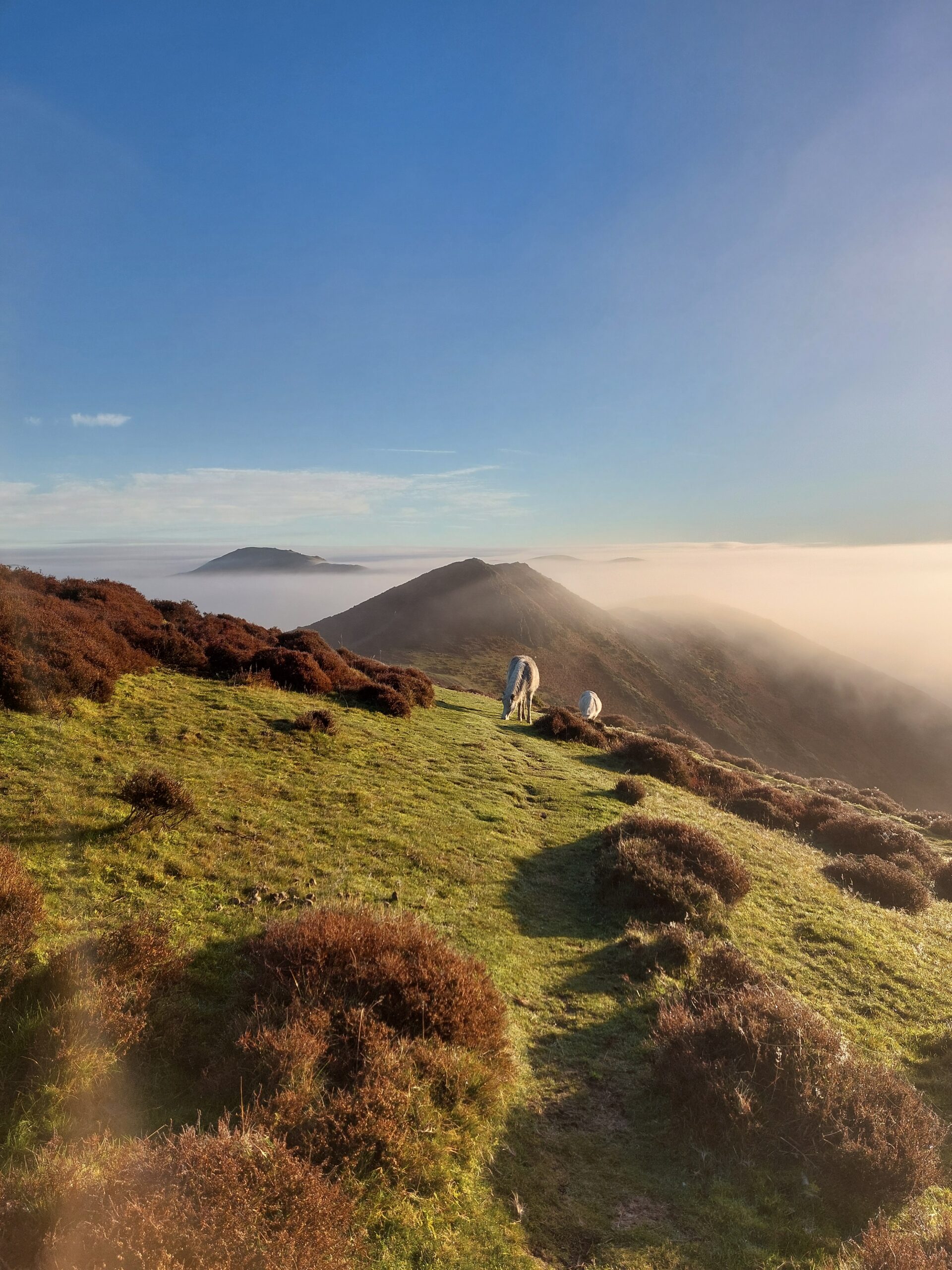 The Outdoor Depot Stretton Summits Round The stunning Shropshire hills bathed in sunshine
