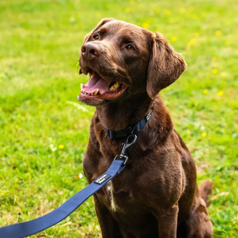 Mountain Paws Extra Tough Dog Lead in Navy-1