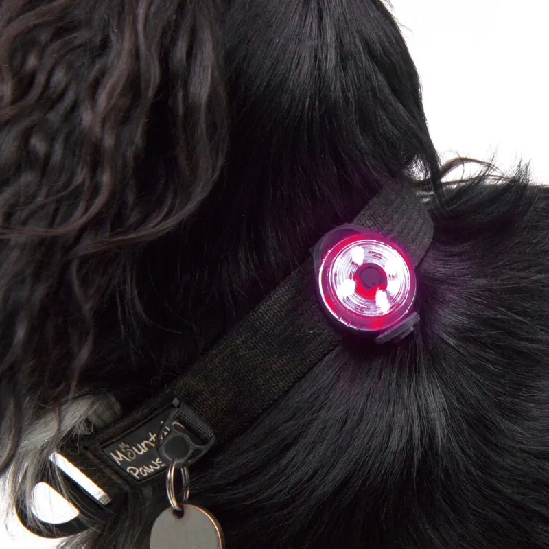 Mountain Paws Dog Safety Light 2 Pack-5