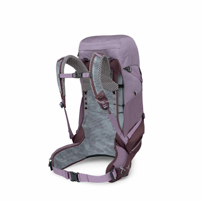 Osprey Sirrus 36 Hiking Backpack in Purple Dusk-1