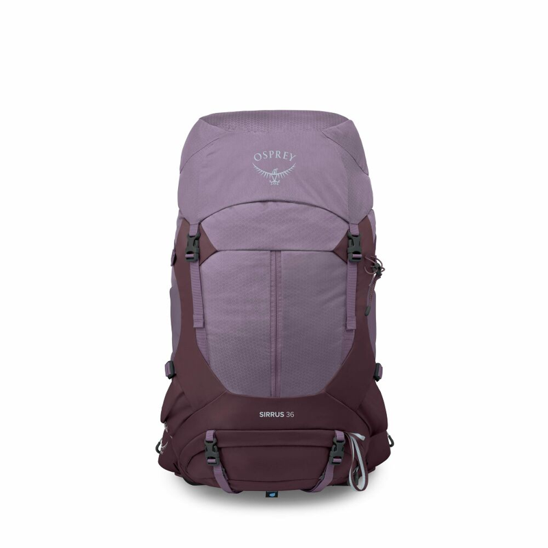 Osprey Sirrus 36 Hiking Backpack in Purple Dusk-2